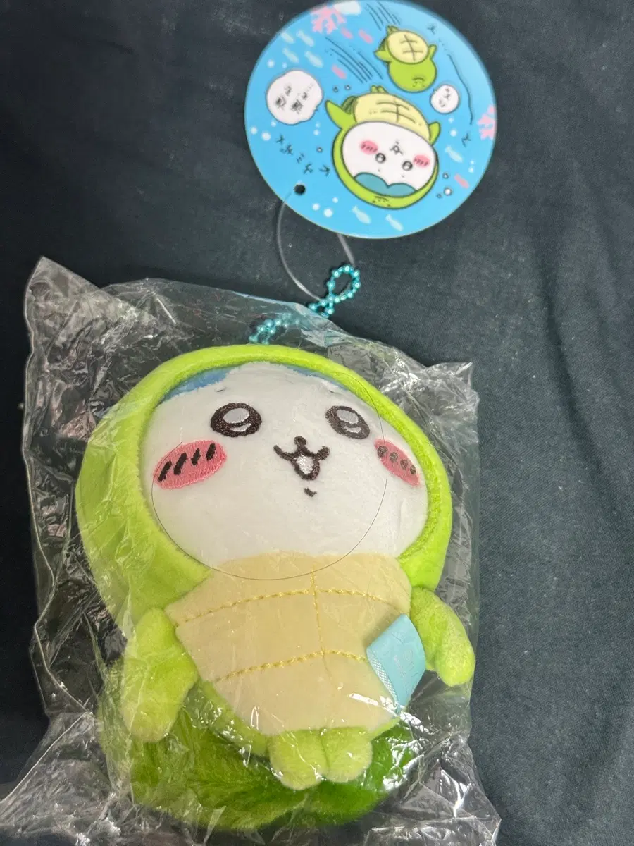 치이카와 하치와레 수족관 거북이 마스코트