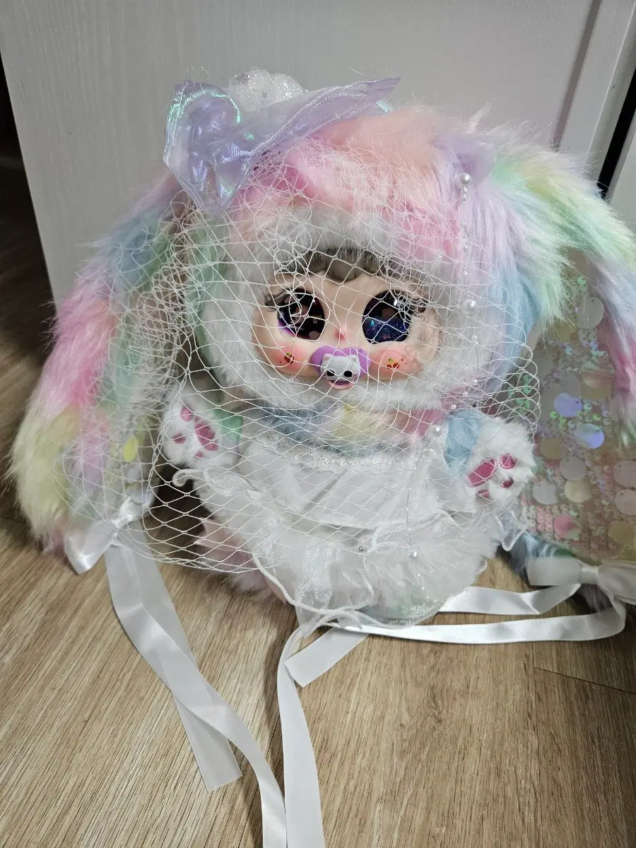 지이모 준시크