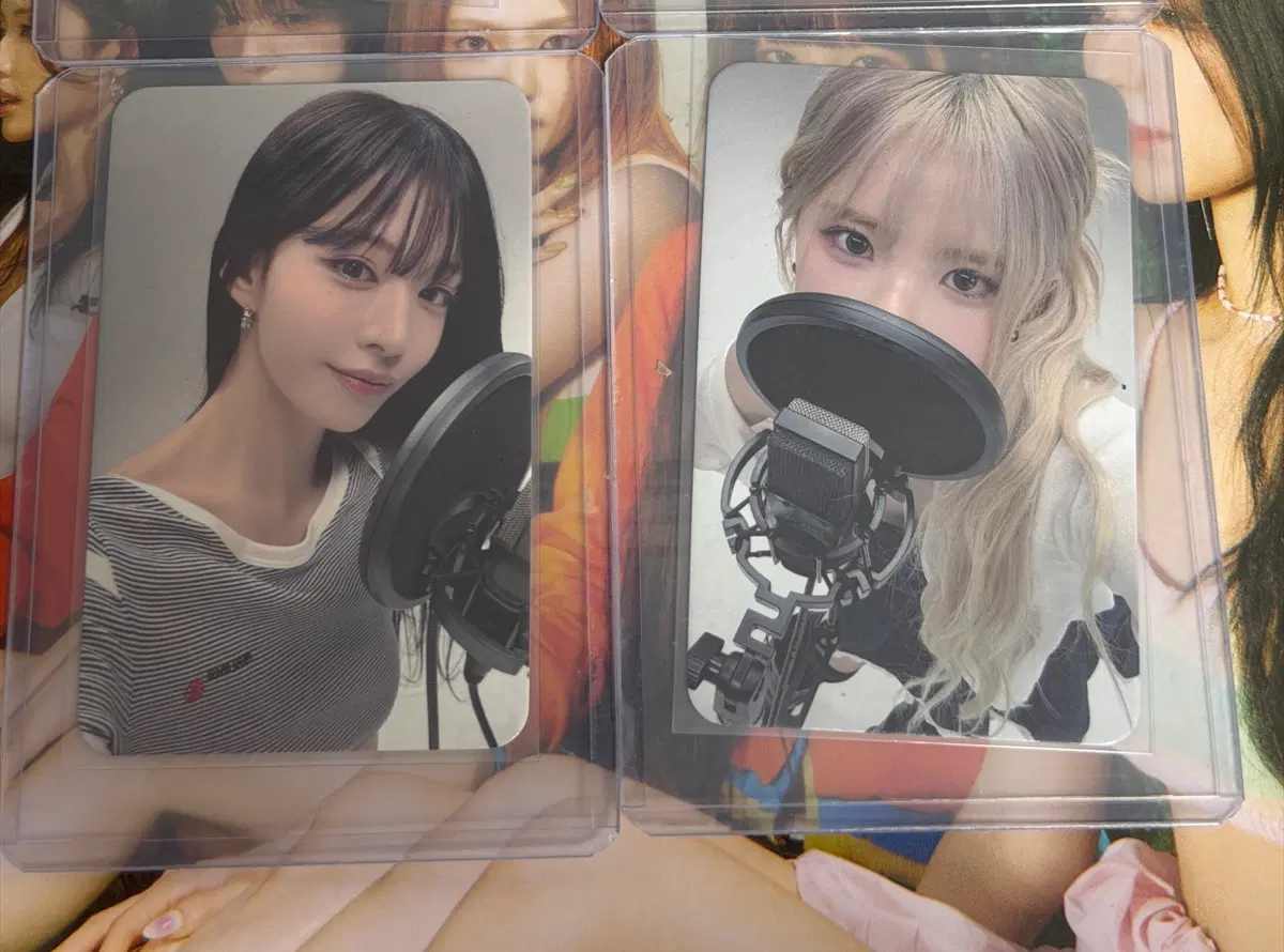 일괄 딩고착장 특전 채영 하영 프로미스나인