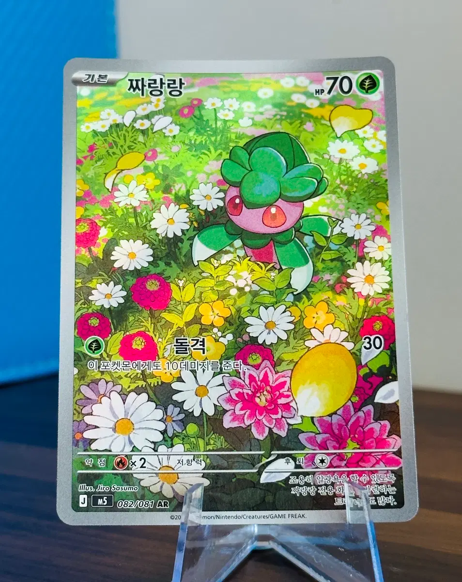 포켓몬 카드 짜랑랑 AR