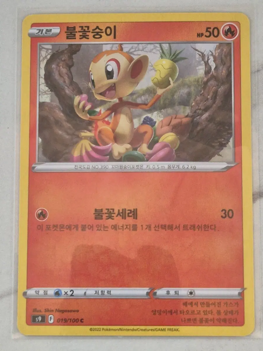 루. 포켓몬카드 불꽃숭이 s9 C 일반