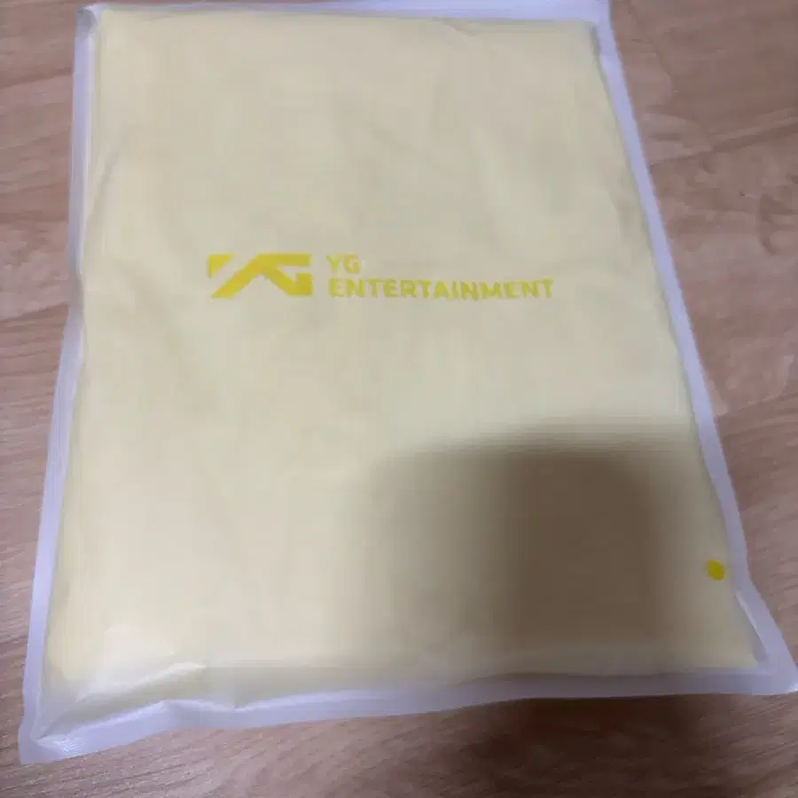 빅뱅 콘서트 우비 YG 우비