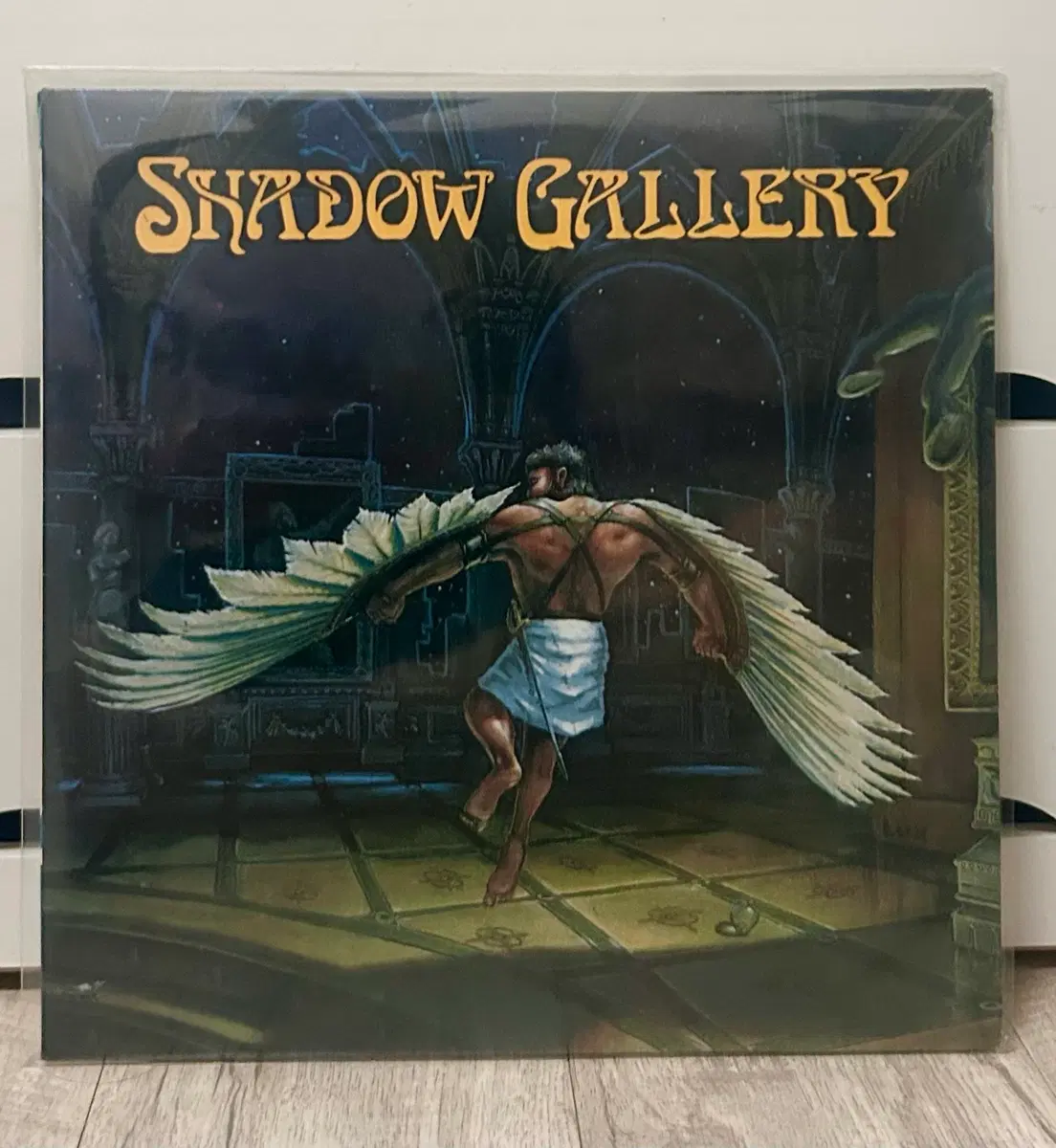 Shadow gallery lp (메탈 lp)
