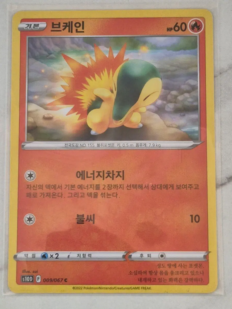 루. 포켓몬카드 브케인 s10d C 일반