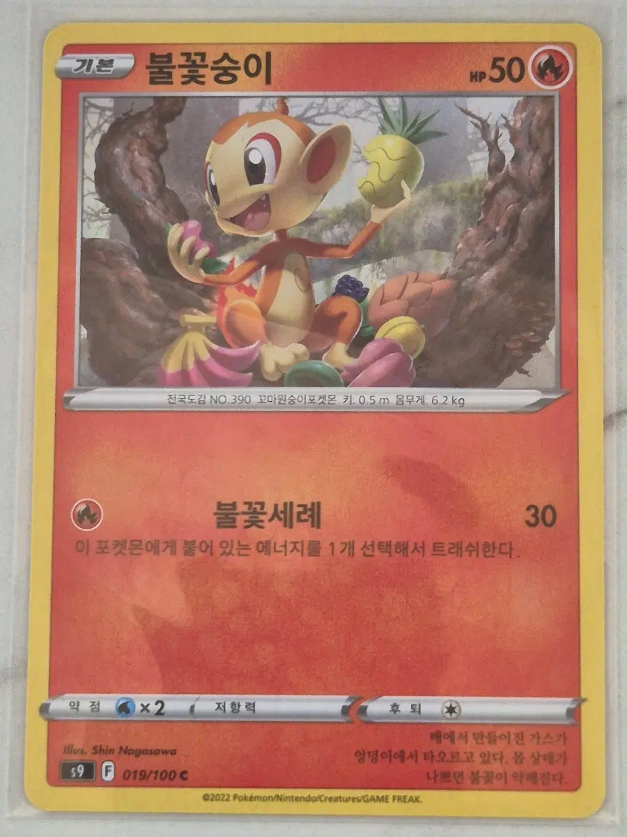 루. 포켓몬카드 불꽃숭이 s9 C 일반