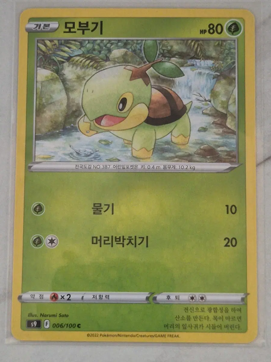 루. 포켓몬카드 모부기 s9 C 일반