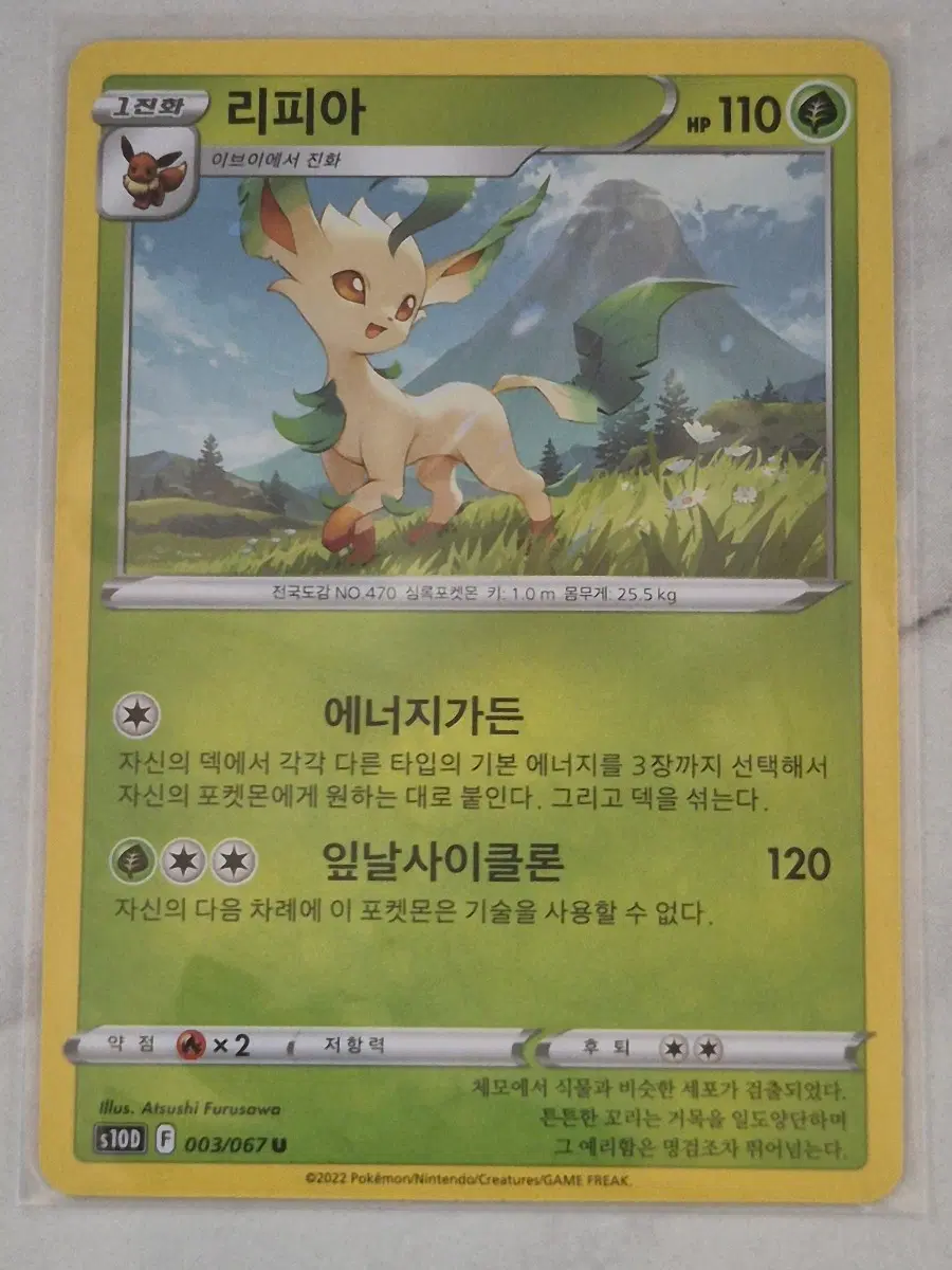 루. 포켓몬카드 리피아 s10d U 일반