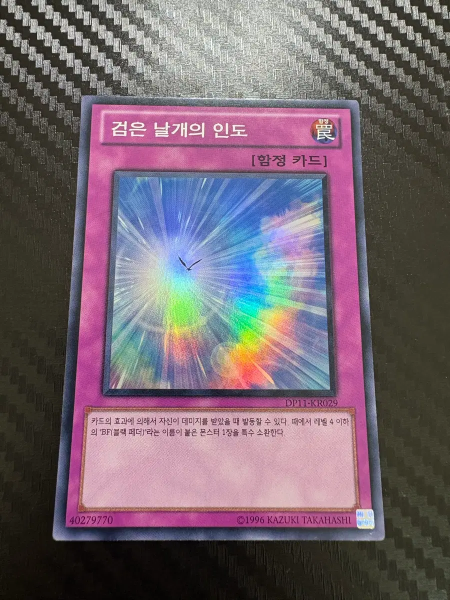 유희왕 카드 검은 날개의 인도