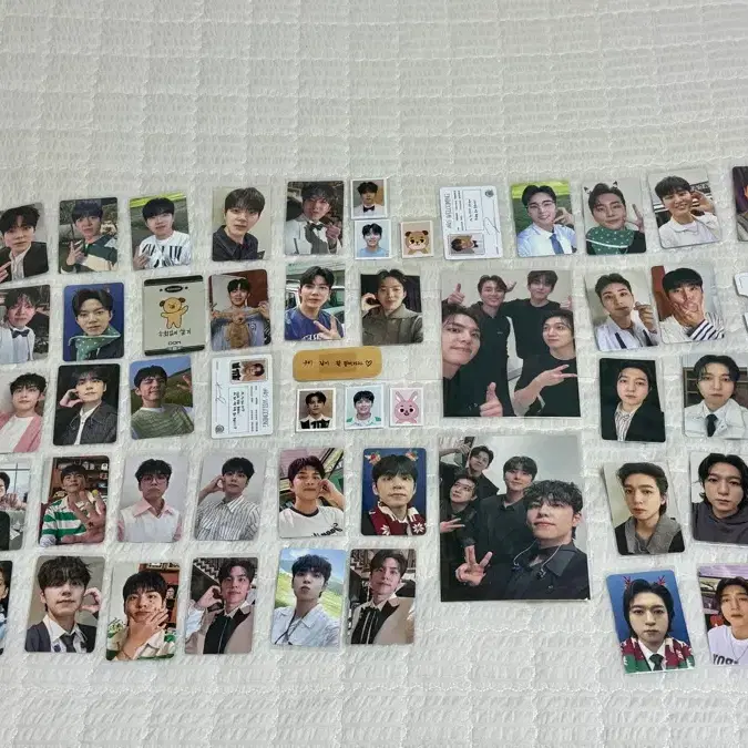 데이식스 포토카드 일괄