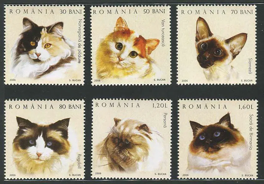 [BKstamp외국우표]루마니아 고양이 6종완(2006년)