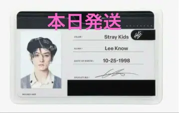 스키즈 프로필 카드 StrayKids LeeKnow RUNIT