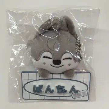 StrayKids 2024 TOY WORLD BangChan 네임 백참 SKZOO