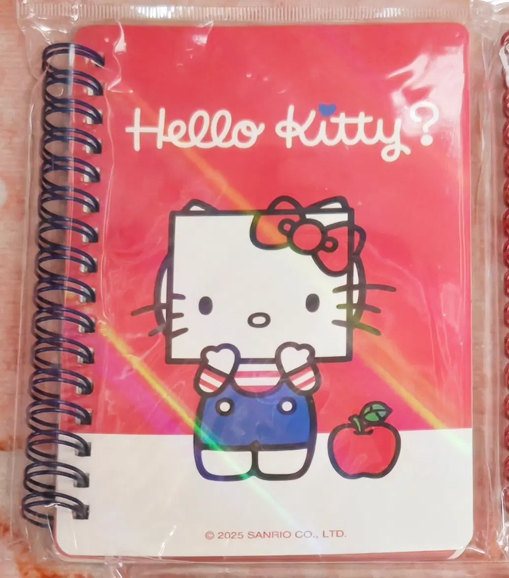 헬로키티 스프링 노트 네모