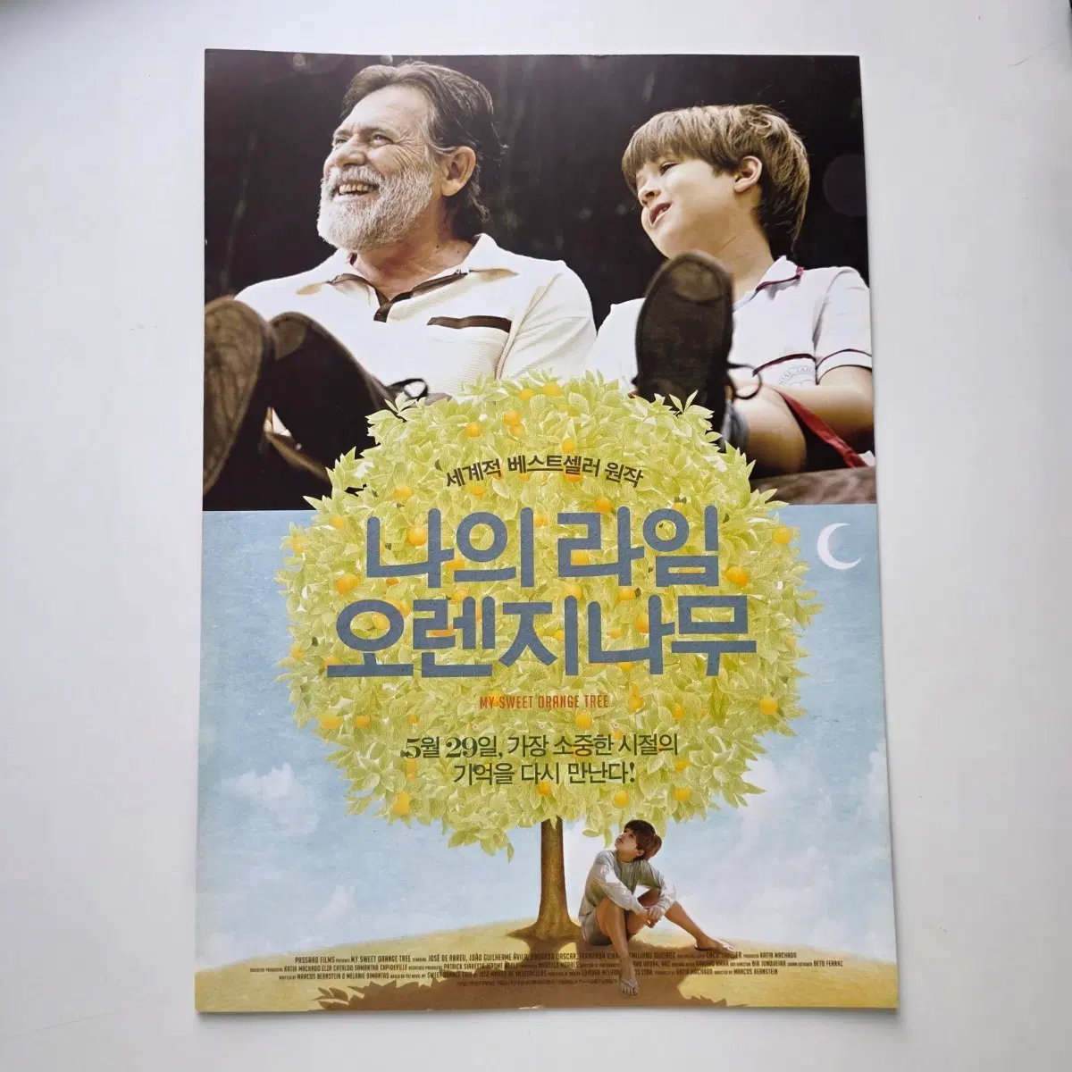 [전단지] 나의 라임 오렌지나무 2014 영화 포스터