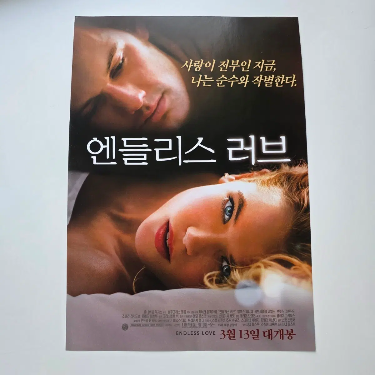 [전단지] 엔들리스 러브 2014 영화 포스터