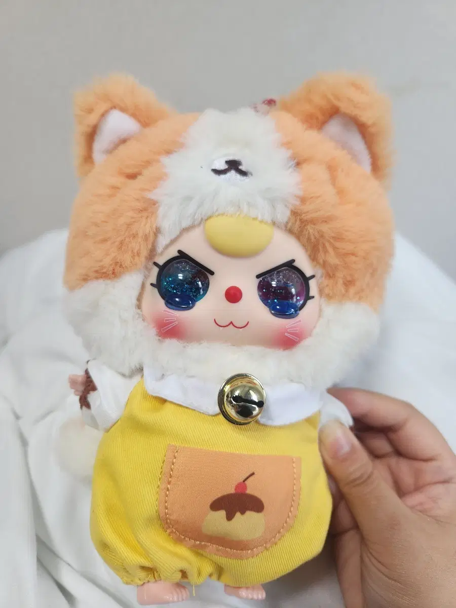 베이비쓰리 복고양이