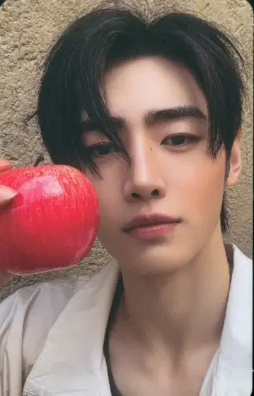 ENHYPEN FUGITIVES Ver. SUNGHOON THE SIN:VANISH