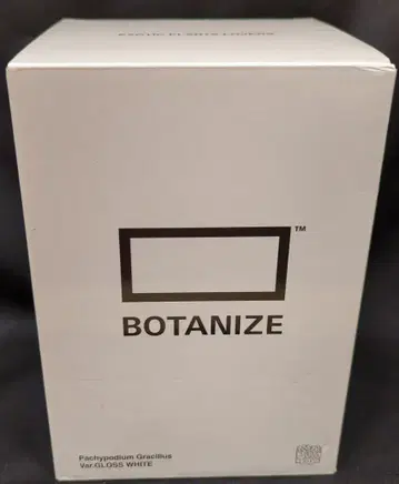 MEDICOM TOY VCD BOTANIZE PACHYPODIUM GRACILIUS VAR.GLOSS WHITE