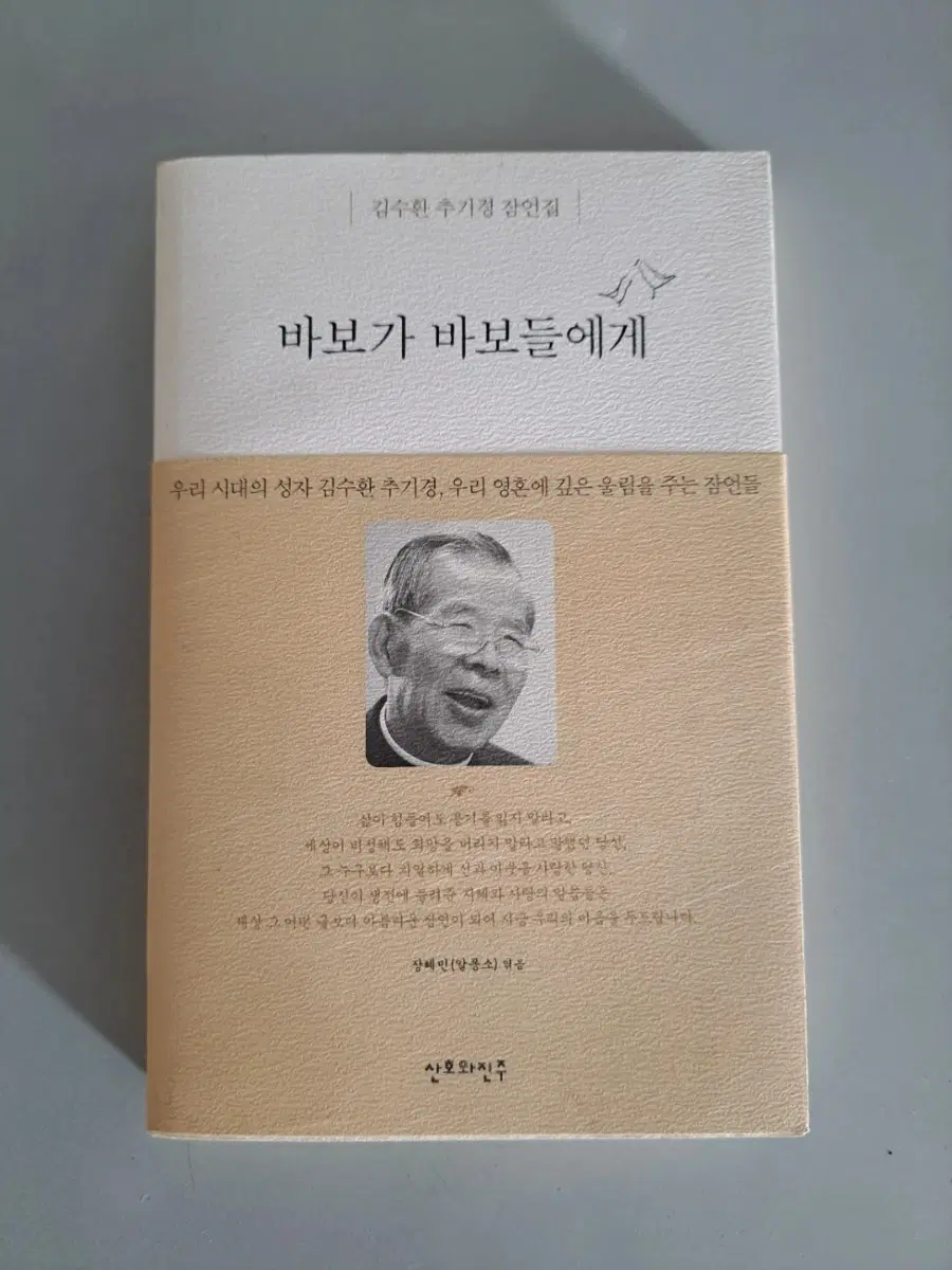 서적 바보가 바보들에게