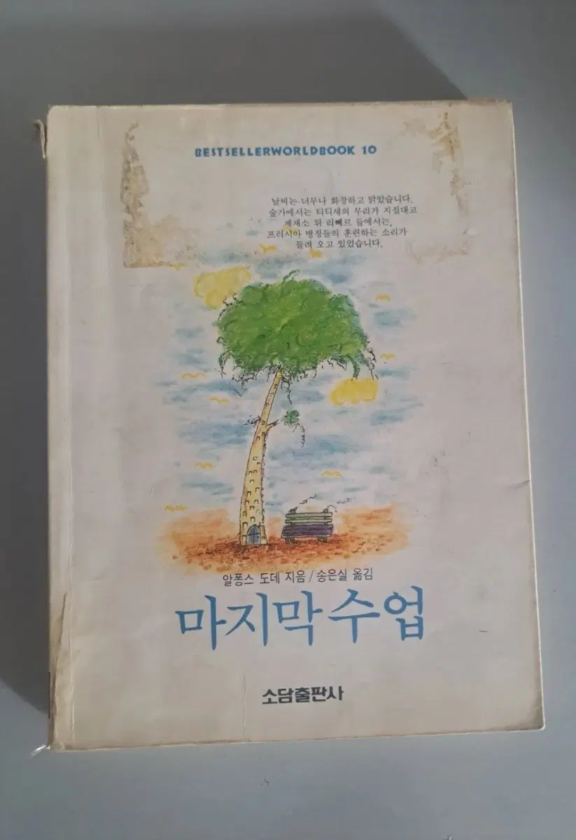 서적 마지막 수업