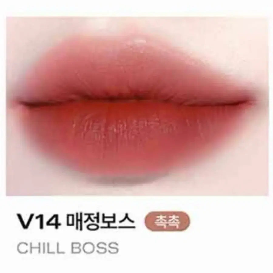 삐아 라스트 벨벳 틴트 V14 매정보스