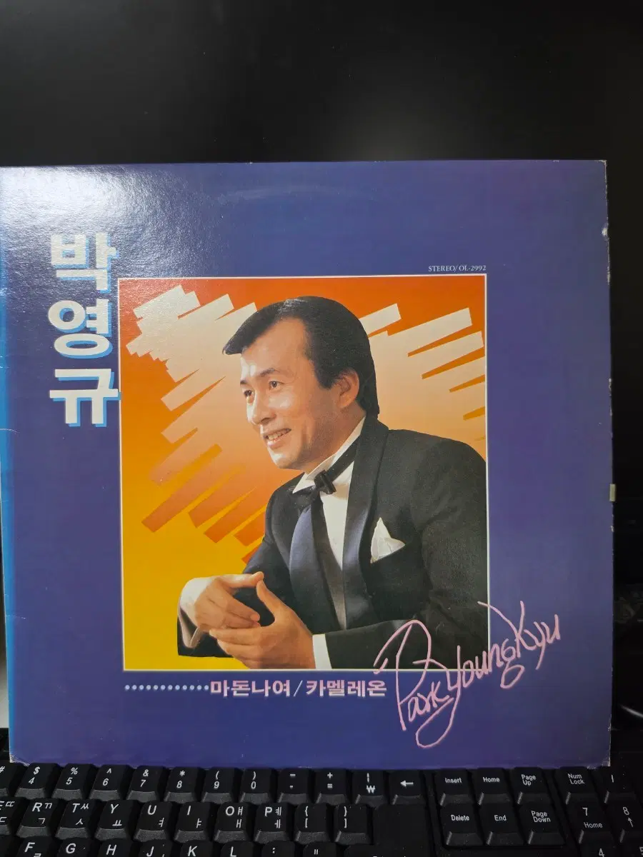 박영규 1집 마음에 남겨둔/카멜레온 LP