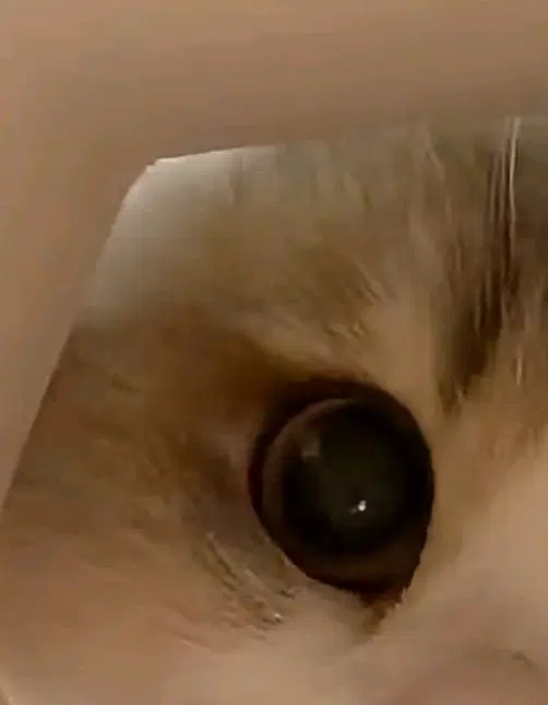 책 나눔