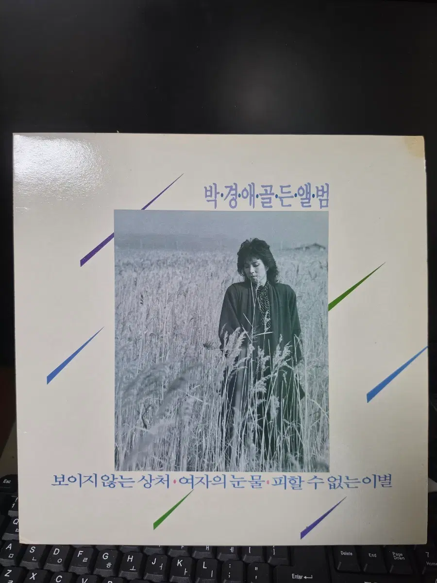 박경애 골든 앨범  LP