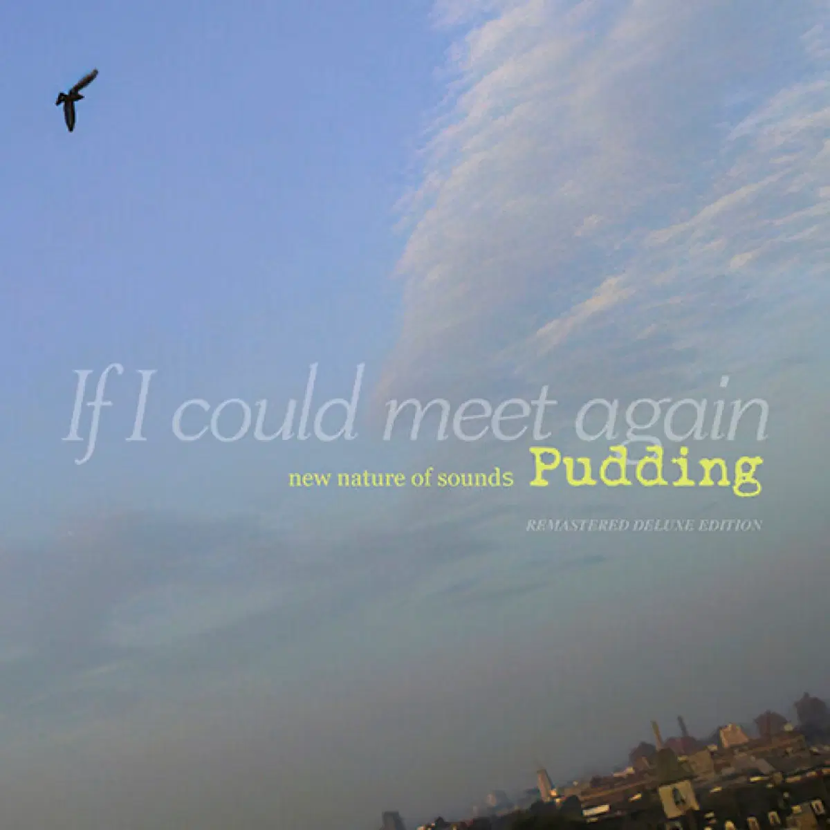 푸딩 1집 If I Could Meet Again 앨범 시디 CD