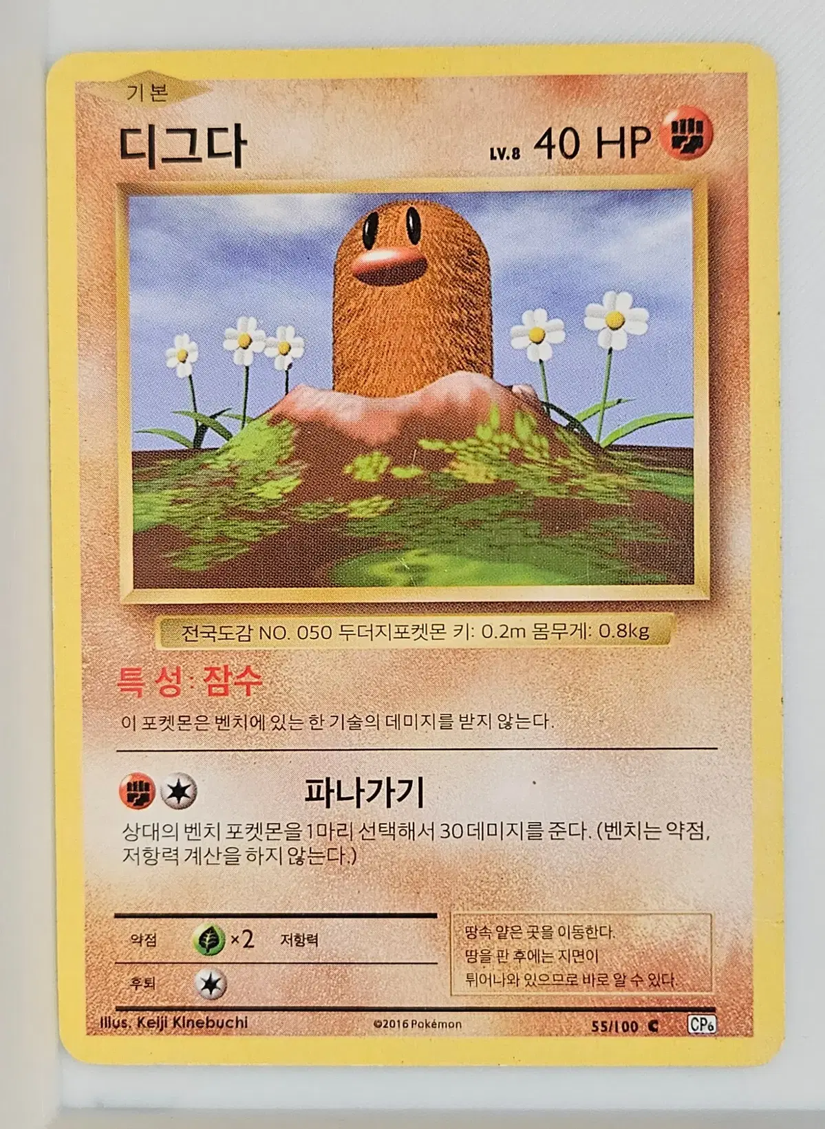 디그다 55/100 레트로카드
