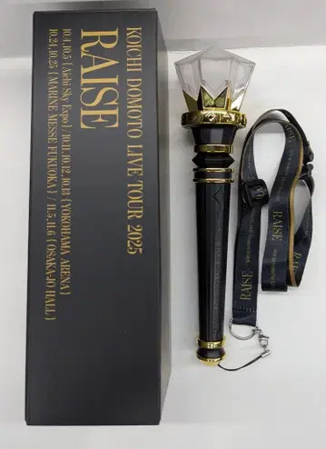 KinKi Kids KOICHI DOMOTO LIVE TOUR 2025 RAISE 도모토 코이치 응원봉