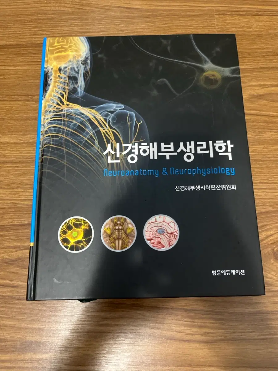 신경해부생리학 Neuroanatomy & Neurophysiology 범문
