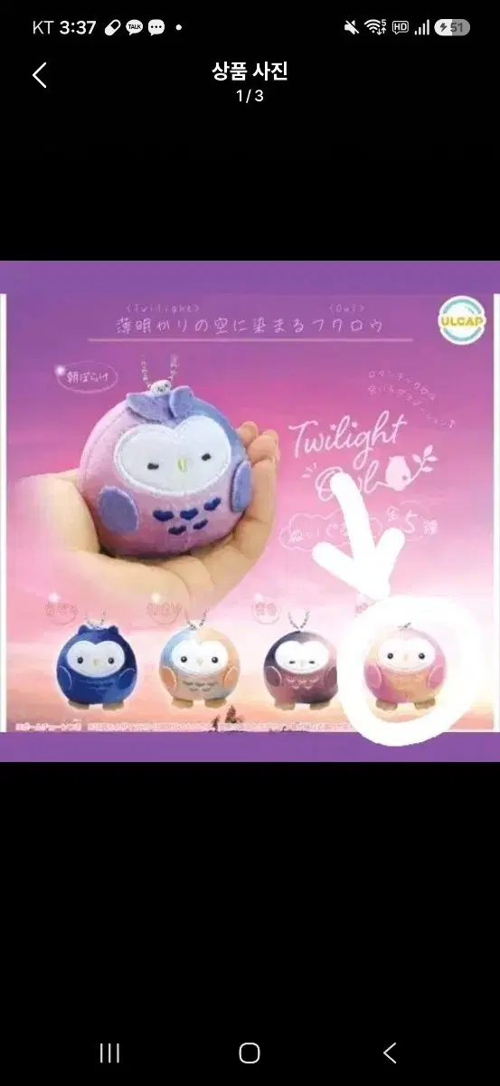 [판매] 트와일라잇 황혼 아울 부엉이 올빼미 가챠 누이구루미 키홀더