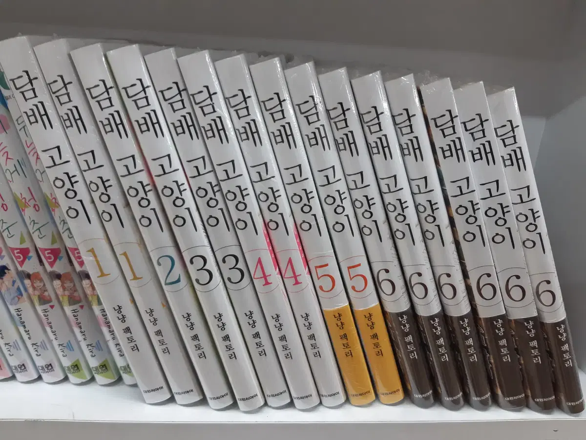 다 ㅁ배 고양이 1-6 미개봉 만화짱많아 프로안전상점