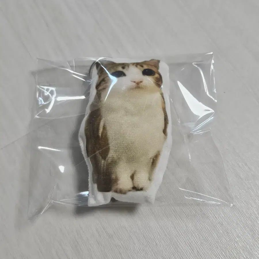 고양이 얼굴 키링 (노래나옴)