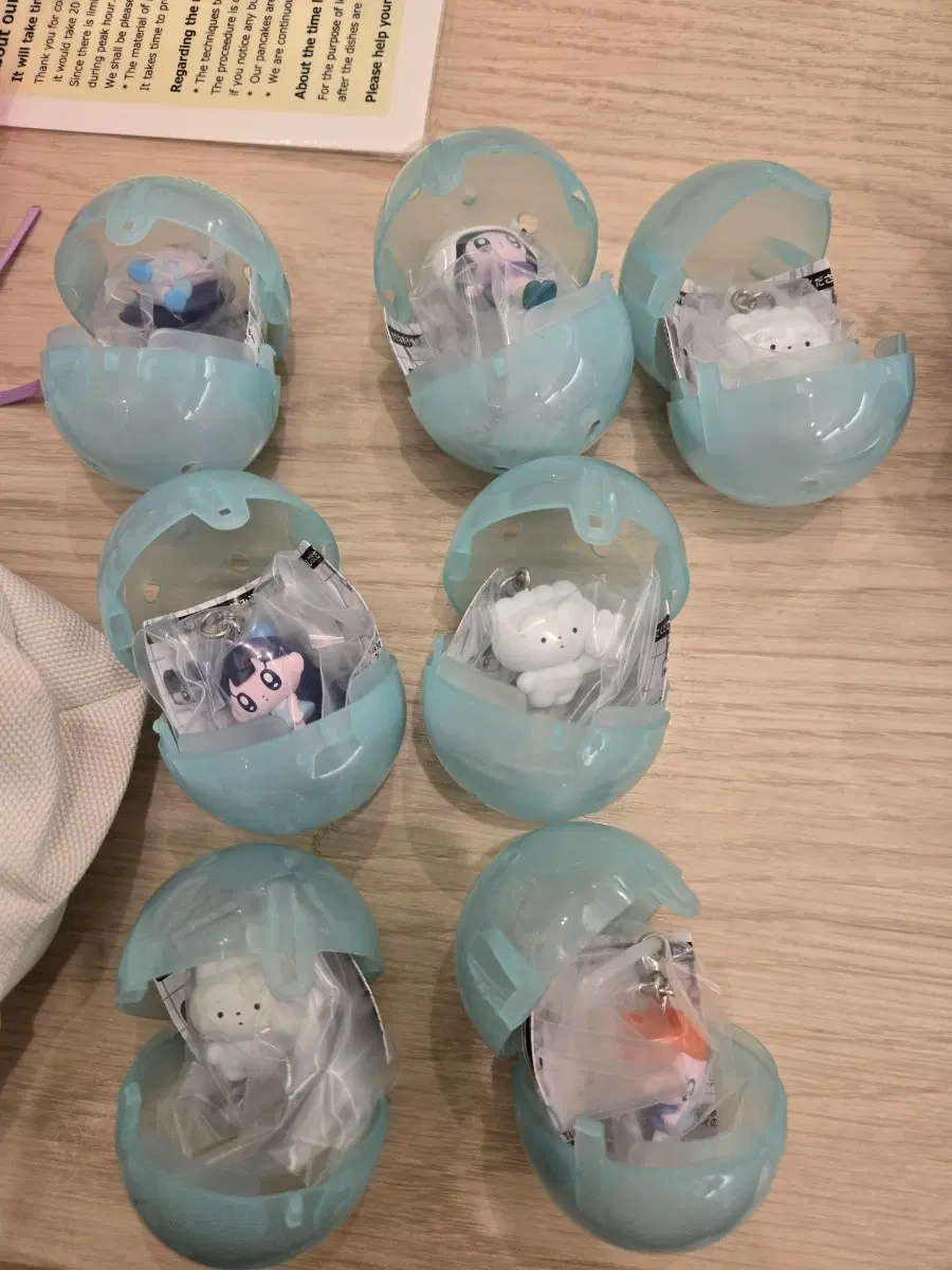 모뇨걸 교자짱 메지루시