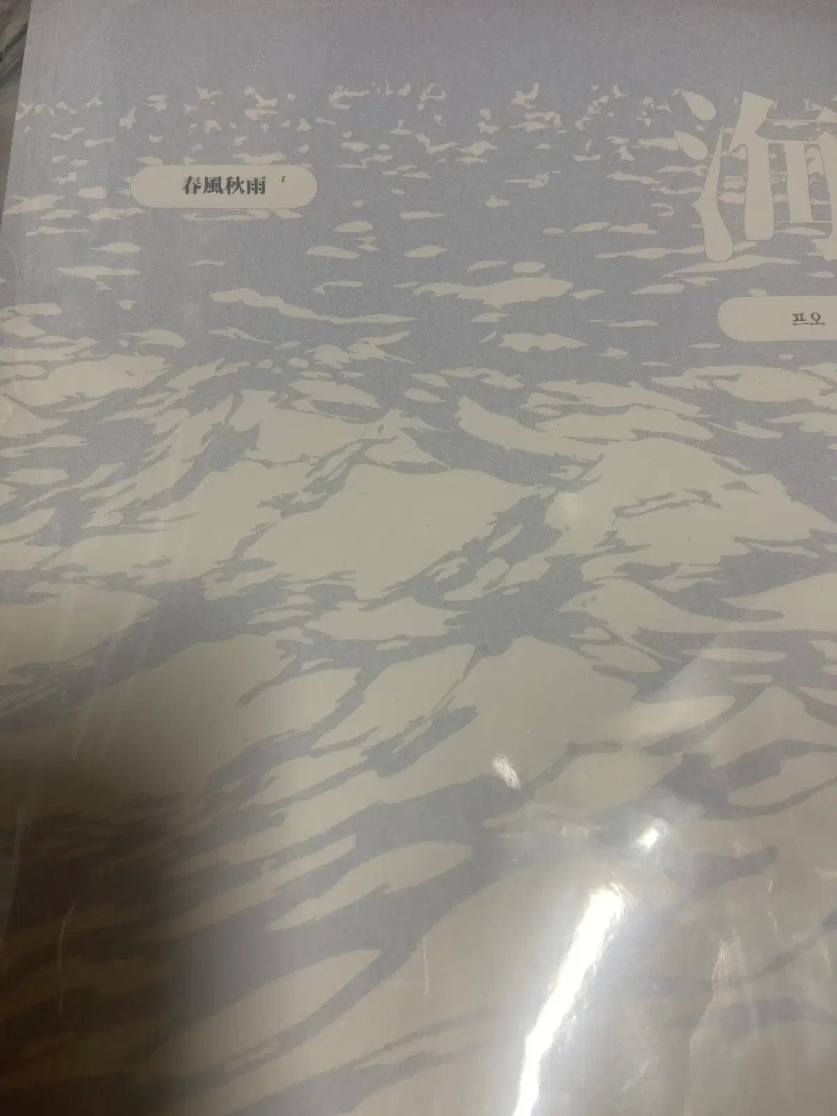 오오에 회지 오오아오