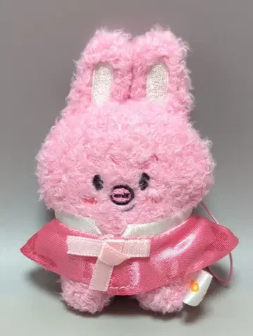 StrayKids 2026 RUN IT SEOUL 창빈 PLUSH MICRO Ver. 노멀
