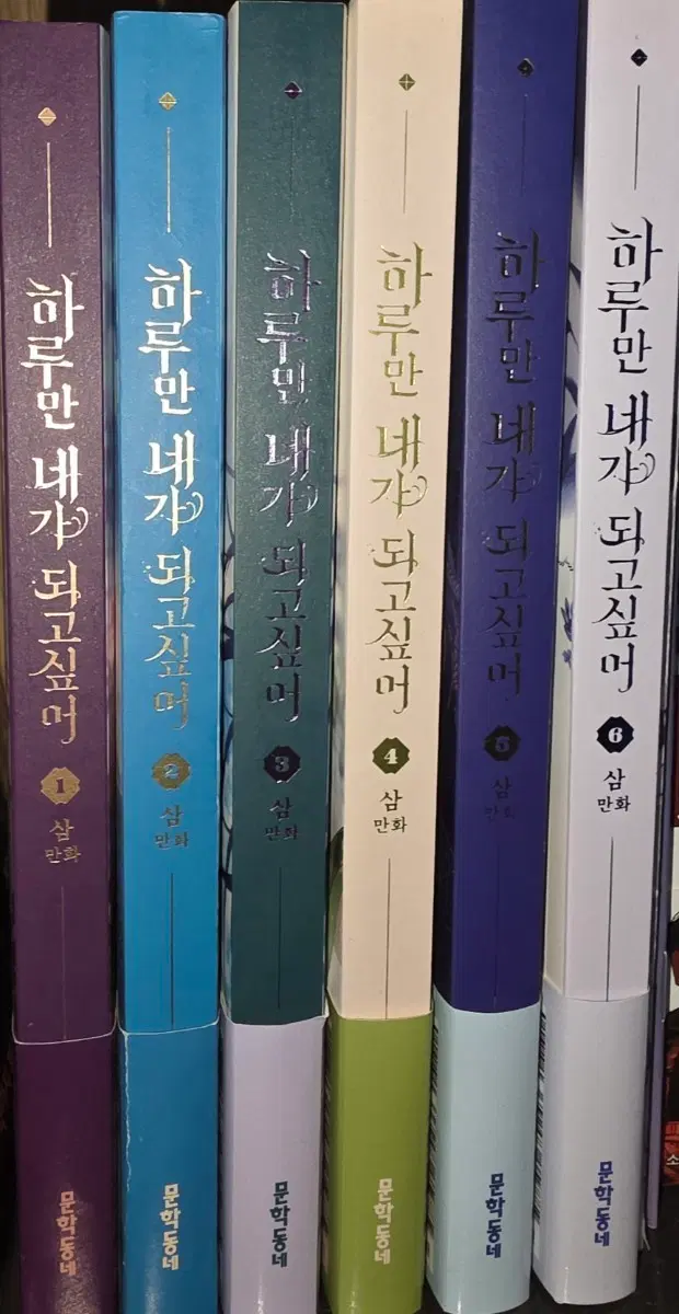하루만 네가 되고 싶어 단행본