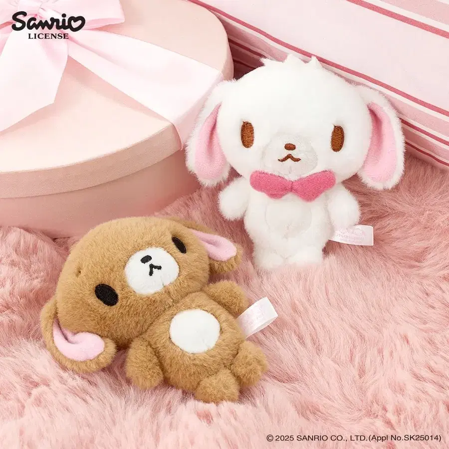시로우사/크로우사 팔아요