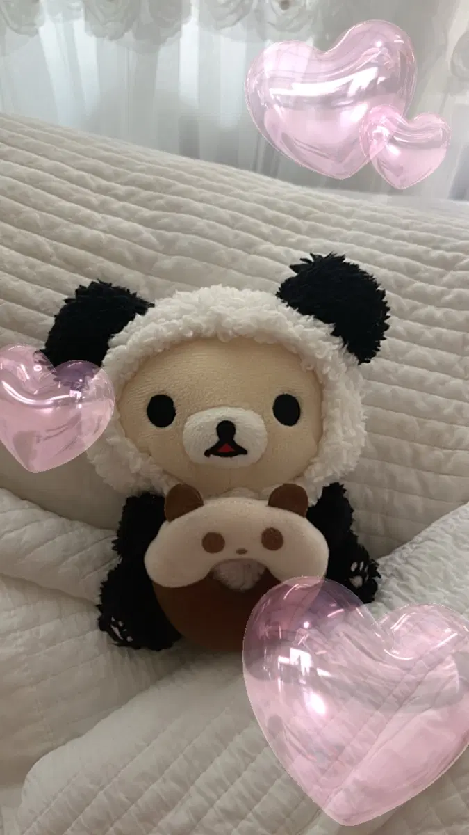 판다 코리락쿠마 고전