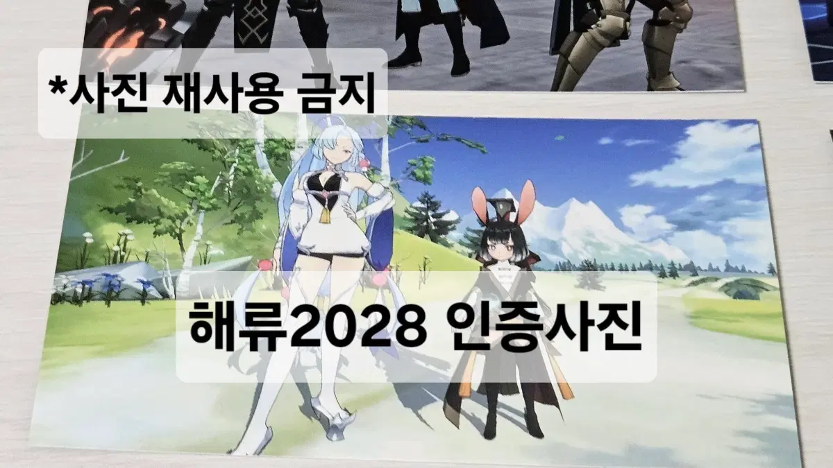 로드오브히어로즈 로오히 오르골 특전 카드 루미에 메이링