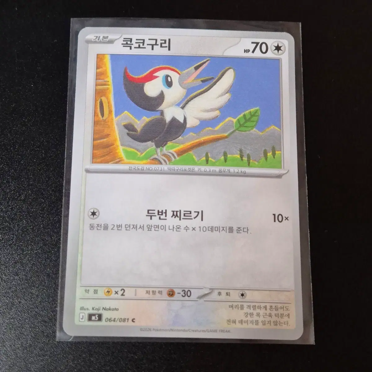 포켓몬 콕코구리 기본 카드
