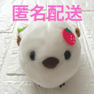 복복 시마짱 컬러풀 후르츠 시마 딸기