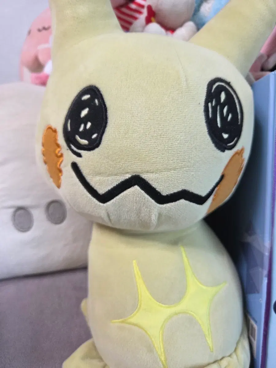 따라큐 누이
