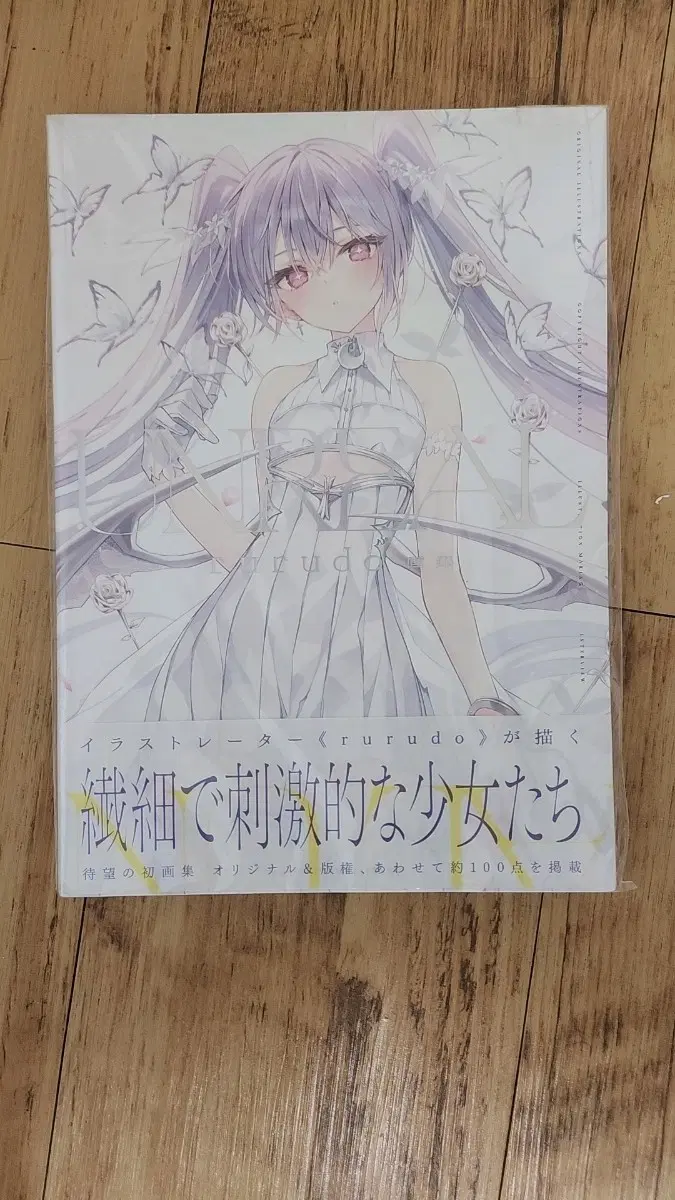rurudo 일러스트집 화집