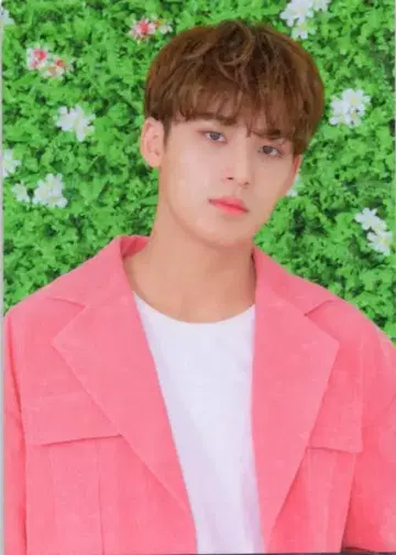 SEVENTEEN 2019 HARU 민규 트레이딩 카드 0017