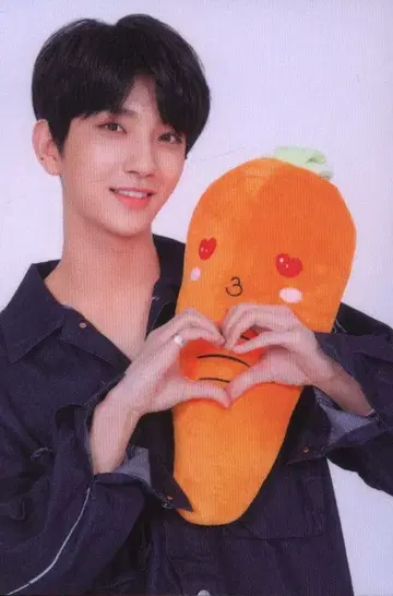 SEVENTEEN 2019 HARU JOSHUA 트레이딩 카드 0104