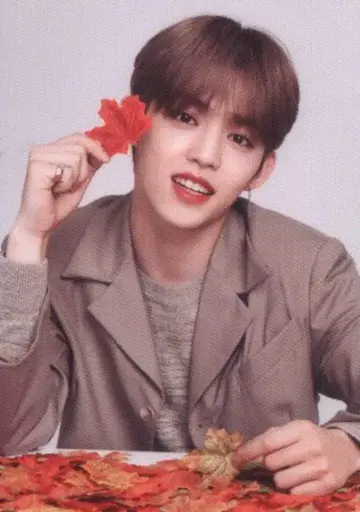 SEVENTEEN 2019 ODE to You IN JAPAN S.COUPS 트레이딩 카드 0066