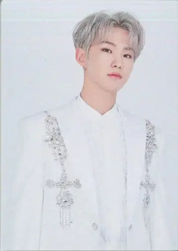 SEVENTEEN HOSHI 2020 SVT 13